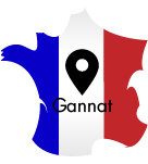 carte France localisation de Gannat